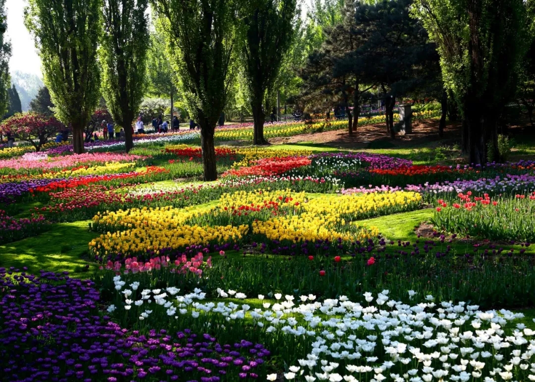 【出游正當時】5月6日松鼠戶外香植溜腿