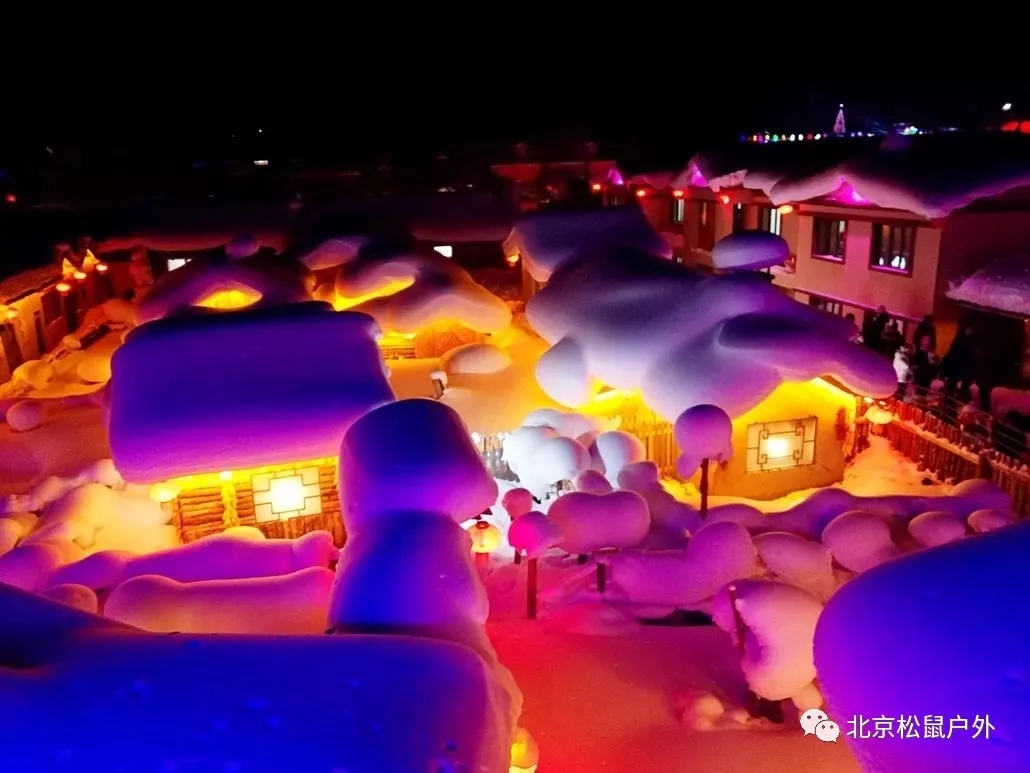 【元旦雪鄉】丨冰雪童話世界，雪谷、雪鄉、霧凇島、哈爾濱冰燈，體驗東北林海雪原，跨年火車團，不用請假