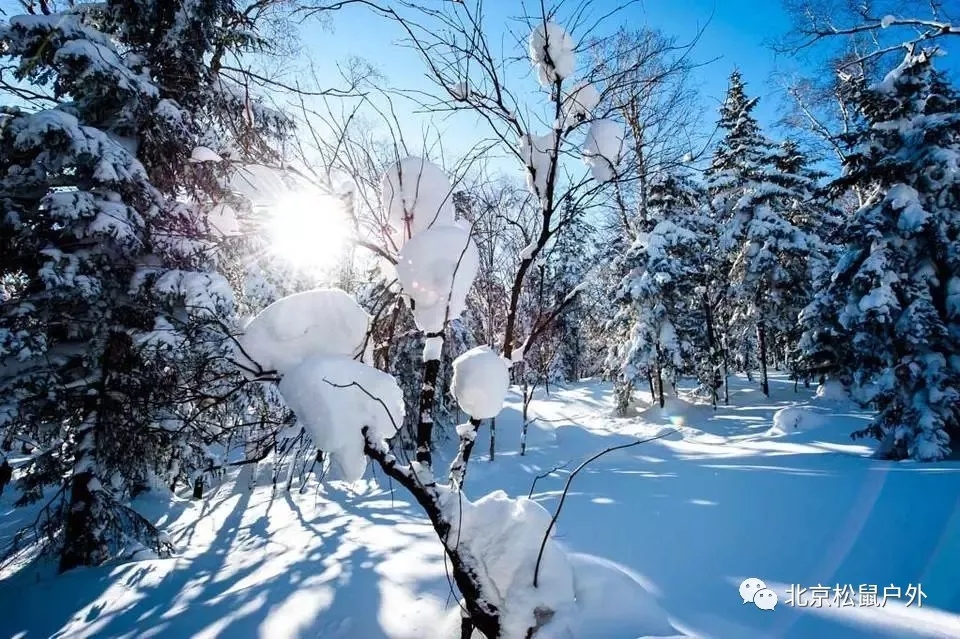 【元旦雪鄉】丨冰雪童話世界，雪谷、雪鄉、霧凇島、哈爾濱冰燈，體驗東北林海雪原，跨年火車團，不用請假