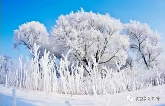 【元旦雪鄉】丨冰雪童話世界，雪谷、雪鄉、霧凇島、哈爾濱冰燈，體驗東北林海雪原，跨年火車團，不用請假