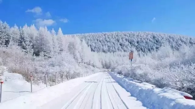 雪鄉今年還坑人嗎，北京去雪鄉旅游現在還能去嗎