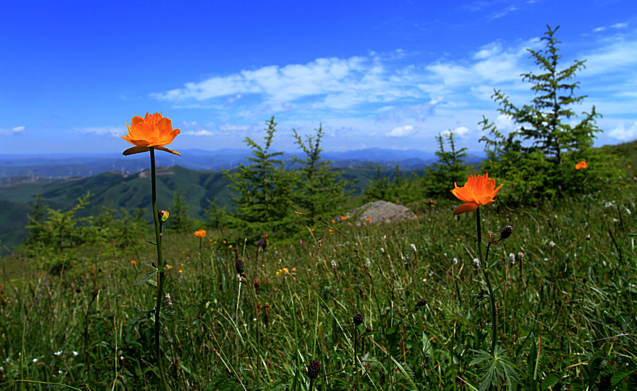 冰山梁露營(yíng)幾月份最好