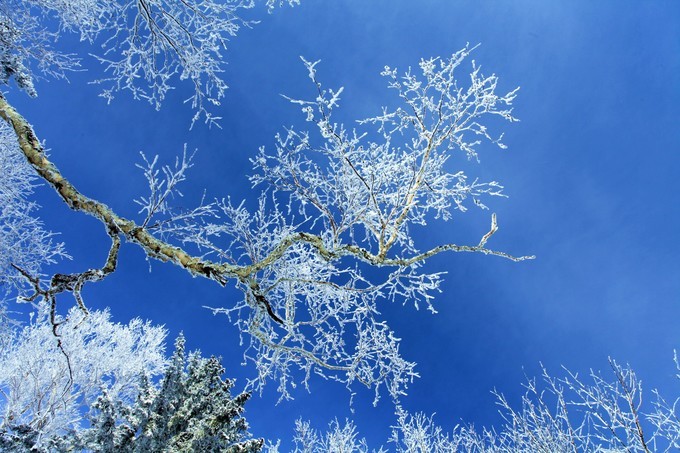 哈爾濱雪鄉雪谷旅游記錄