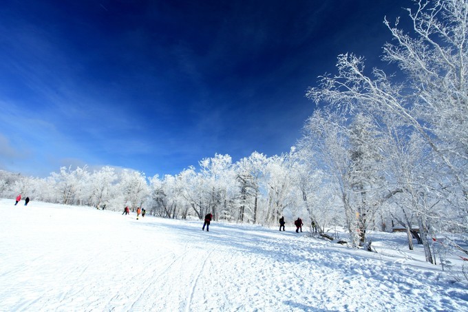 哈爾濱雪鄉雪谷旅游記錄