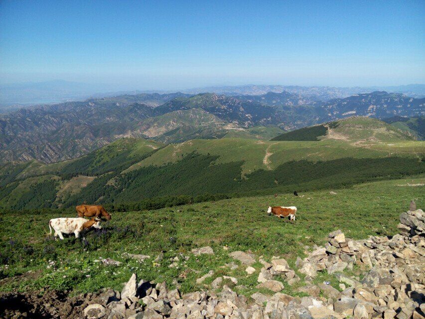 北京靈山介紹