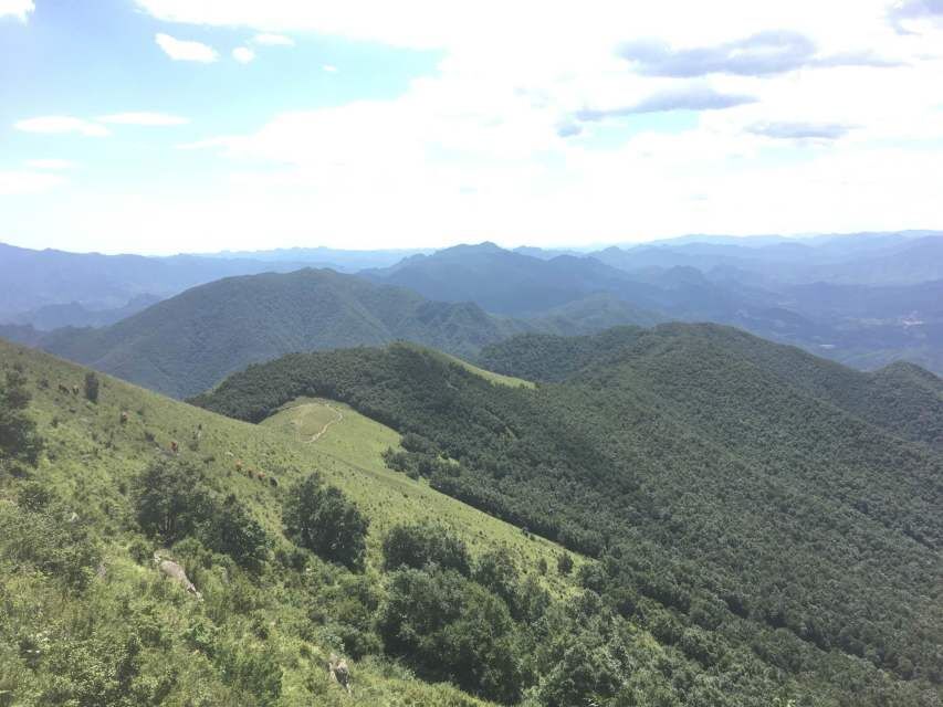 東靈山自然環境