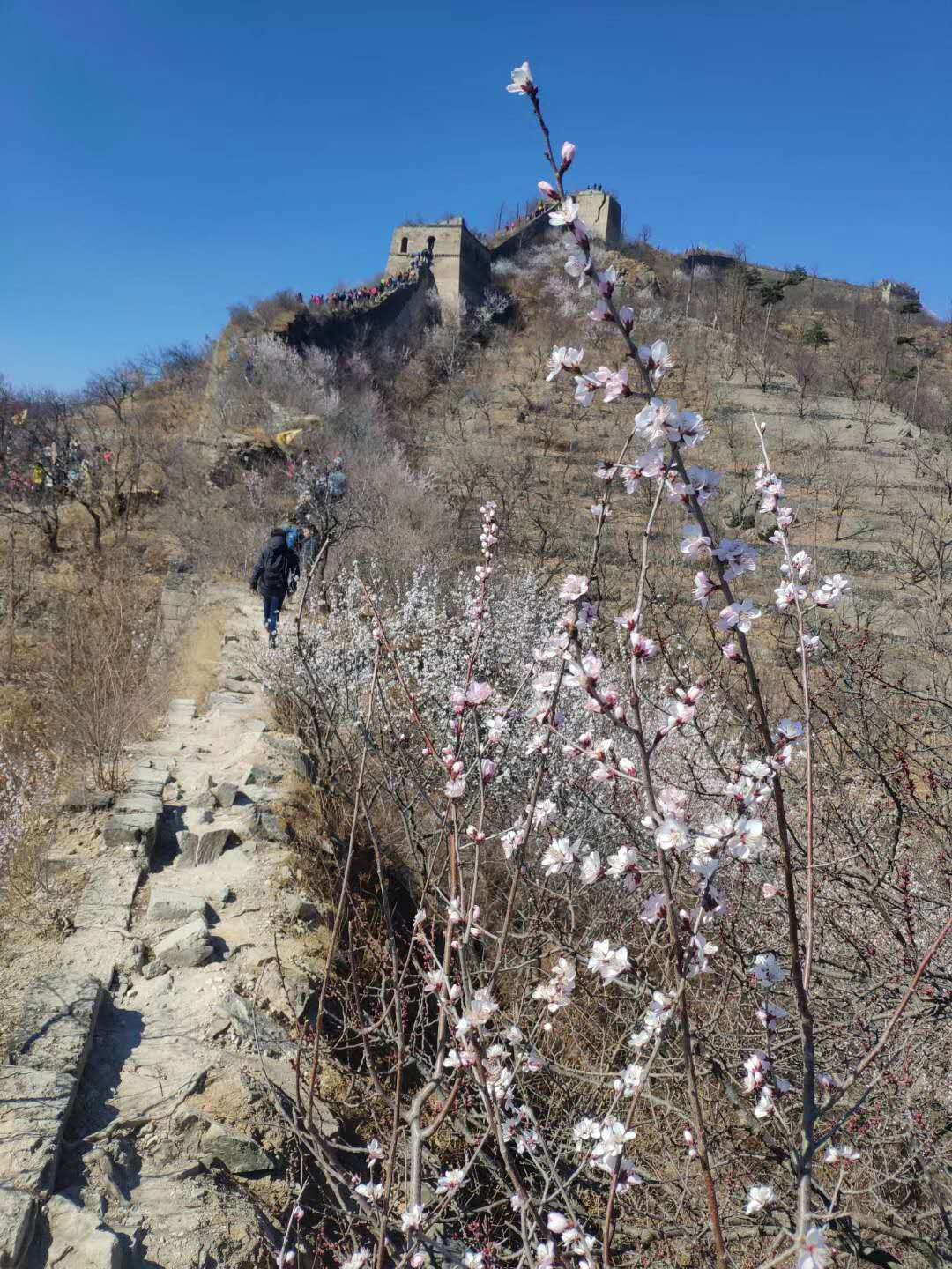 水長(zhǎng)城徒步看那十里桃花