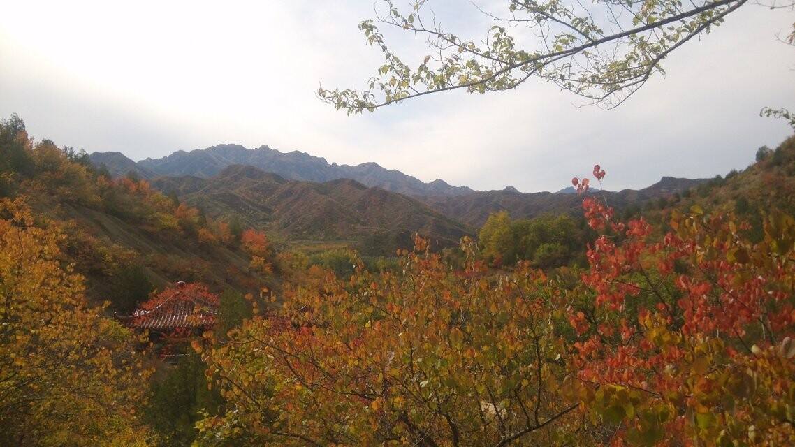 北京野蘑菇戶外俱樂部好嗎，蘑菇旅行怎么樣