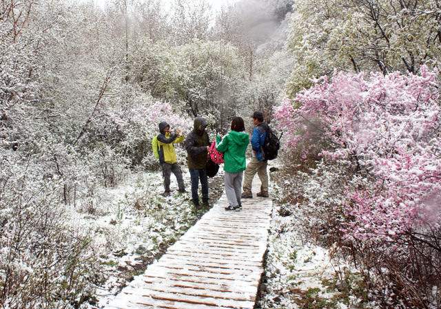 北京野蘑菇戶外俱樂部好嗎，蘑菇旅行怎么樣