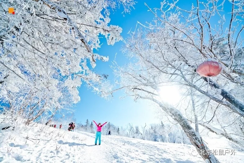 「2021年元旦雪鄉旅游」雪谷雪鄉徒步穿越，戶外純玩線路